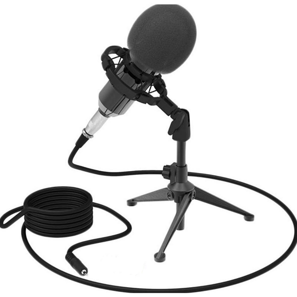 Микрофон Ritmix RDM-160 +USB адаптер