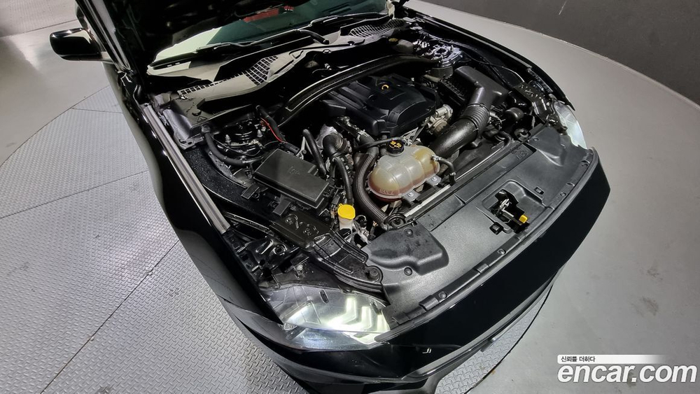 Ford Mustang Convertible (09.2019)