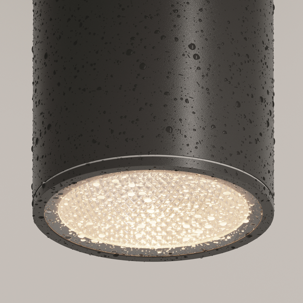 Уличный потолочный светильник Outdoor O306CL-L12GF