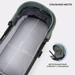 Детская коляска Rant Moss 2 в 1 Green