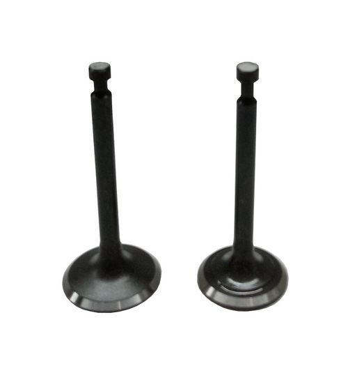 Клапаны (пара) G210FA,LC170FA/500550041-0001