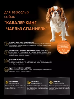 Корм сухой для Кавалер кинг Чарльз спаниеля, индейка 800 гр