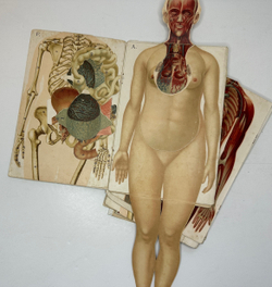 Платен М. Новый способ лечения. Лечение целебными силами природы. — Берлин: Изд. Просвещение, 1901