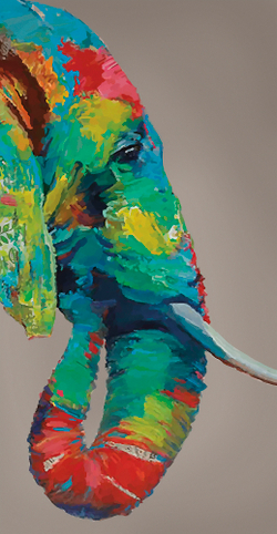 Коллекция Животные