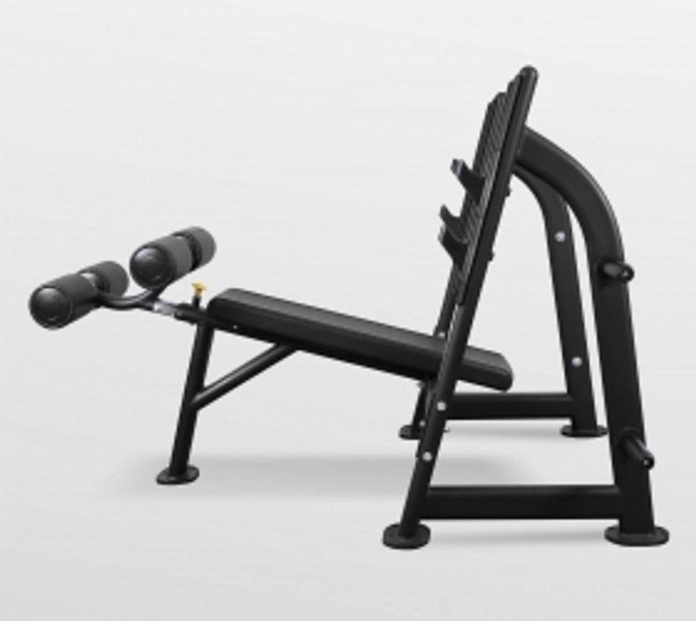 Скамья для жима с отрицательным наклоном Bronze Gym BR-1013