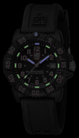 Наручные часы Luminox A.7065