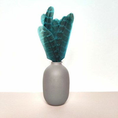 Перья фазана домашнего голубые 15шт.