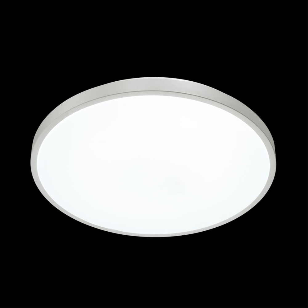 3014/DL TAN SN 206 Светильник пластик/белый LED 48Вт 3000-6300K D380 IP43 пульт ДУ/ LampSmart SMALLI