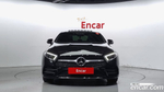 Mercedes-Benz CLS-Class C257 CLS450 4MATIC AMG Line (05.2021)