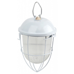 Светильник ЭРА НСП 41-200-003 с решеткой Желудь сталь стекло IP54 E27 max 200Вт 172х306х315 белый