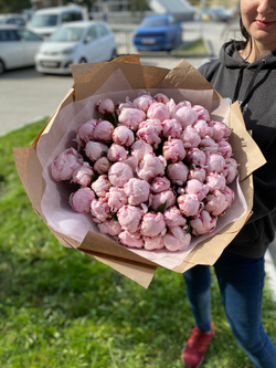 Букет из 51 пиона