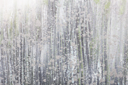 Картина 70х140см Tomas Stern 81007