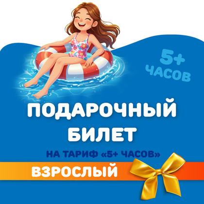 Билет на тариф "5 часов" взрослый