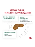  ROYAL CANIN Diabetic (Роял Канин Диабетик) сухой корм для собак при диабете 12 кг