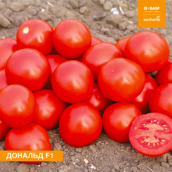 Семена томата Дональд F1, Nunhems, 10 шт.