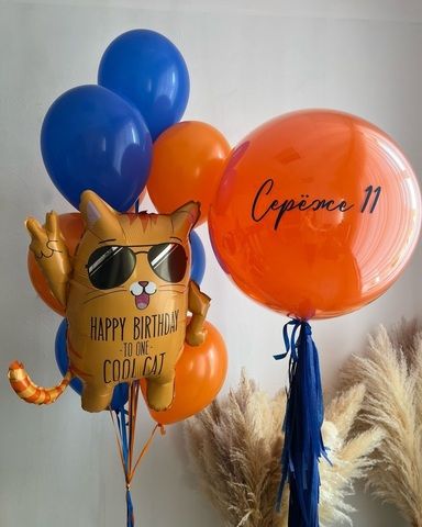 Шары 11 лет набор Крутой котик