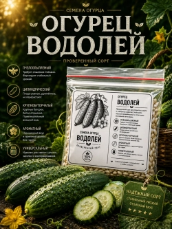 Семена огурца Водолей