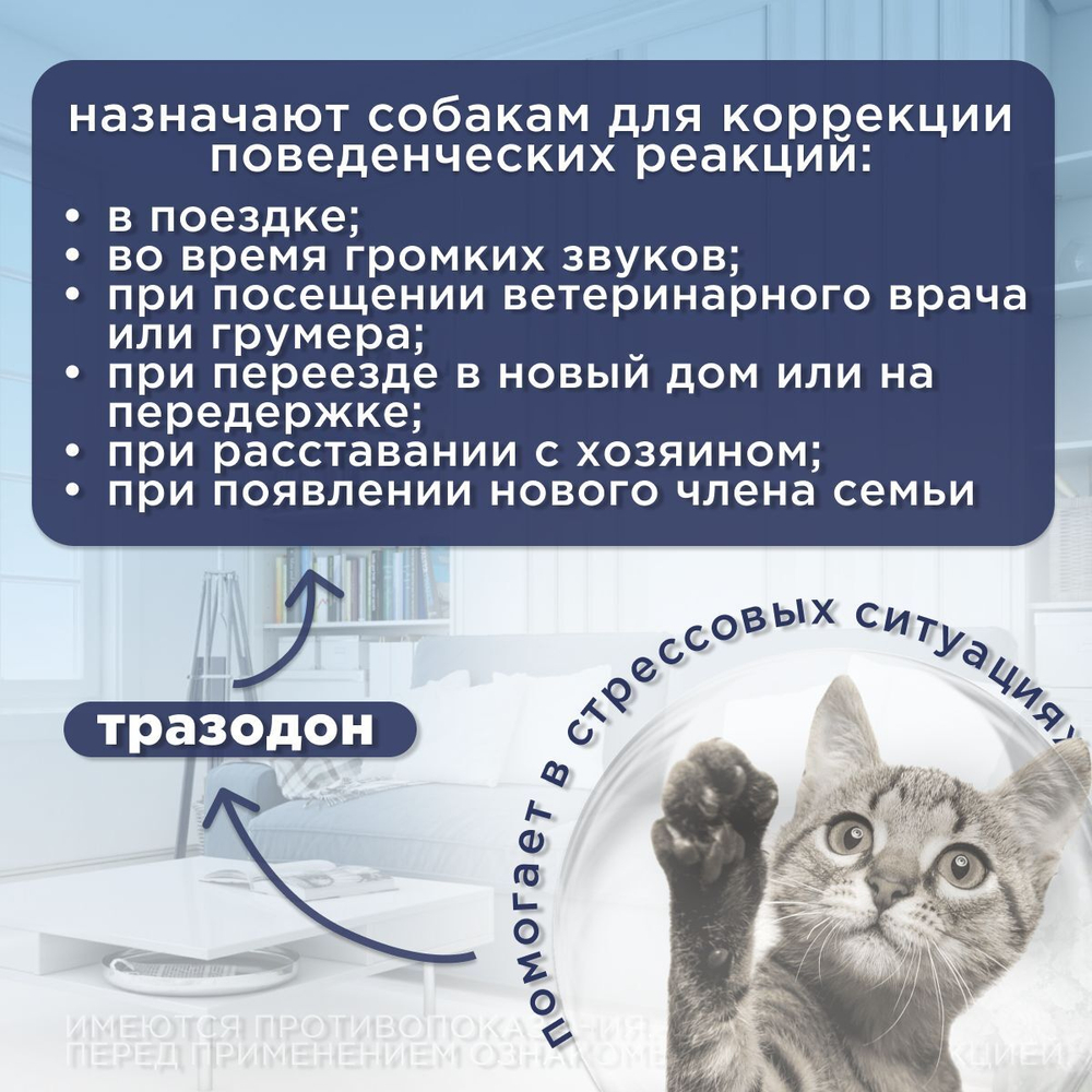 Экспресс Успокоин таблетки для кошек (6 таблеток)