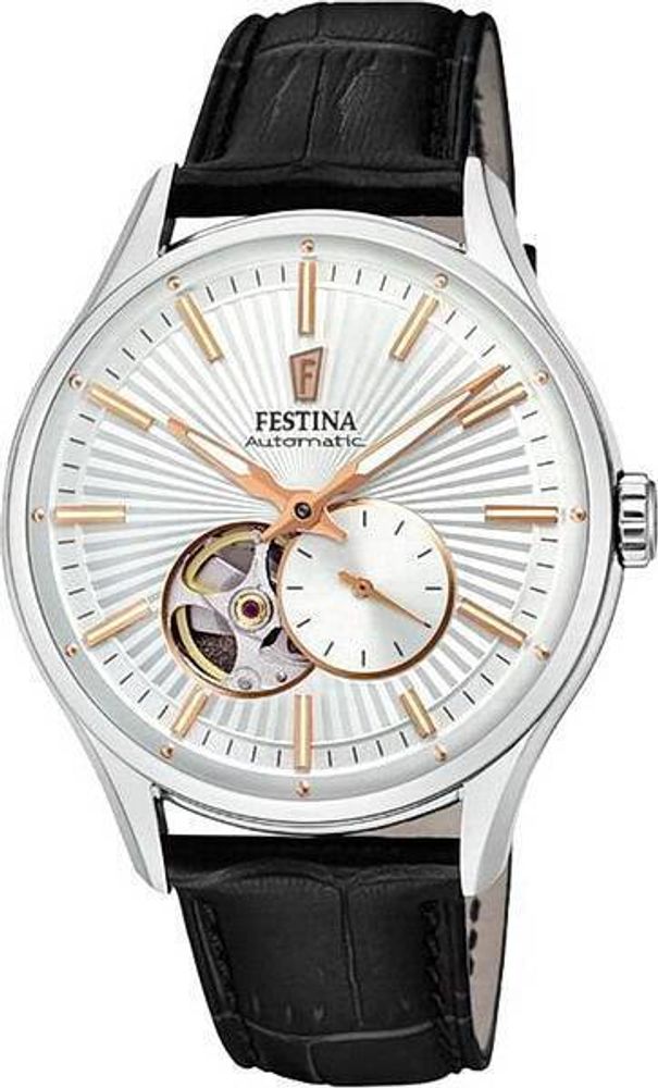 Мужские наручные часы Festina F16975/1