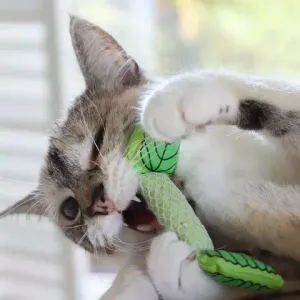 Игрушка Petstages для кошек Dental "Мятный листик" 11 см