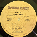 Dixie Dregs ‎– What If (США 1978г.)