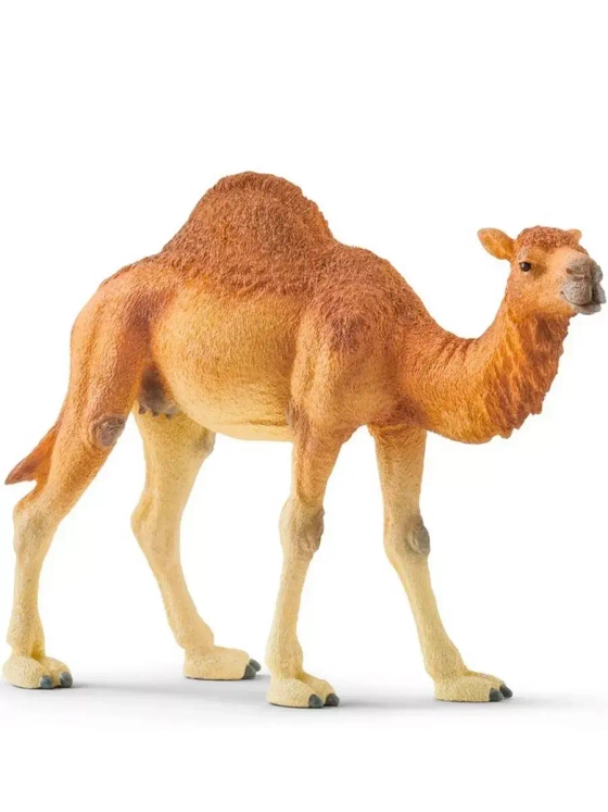 Фигурка Одногорбый верблюд Шляйх 14832