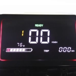 Электроскутер CityCoco Skyboard BR30-2WD (Ural) черный