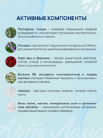 Алконейтрал, 10 пак - саше Концентрат для снятия симптомов алкогольной интоксикации