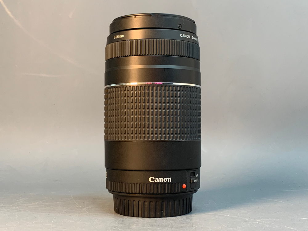 Canon EF 75-300mm 4-5.6 III