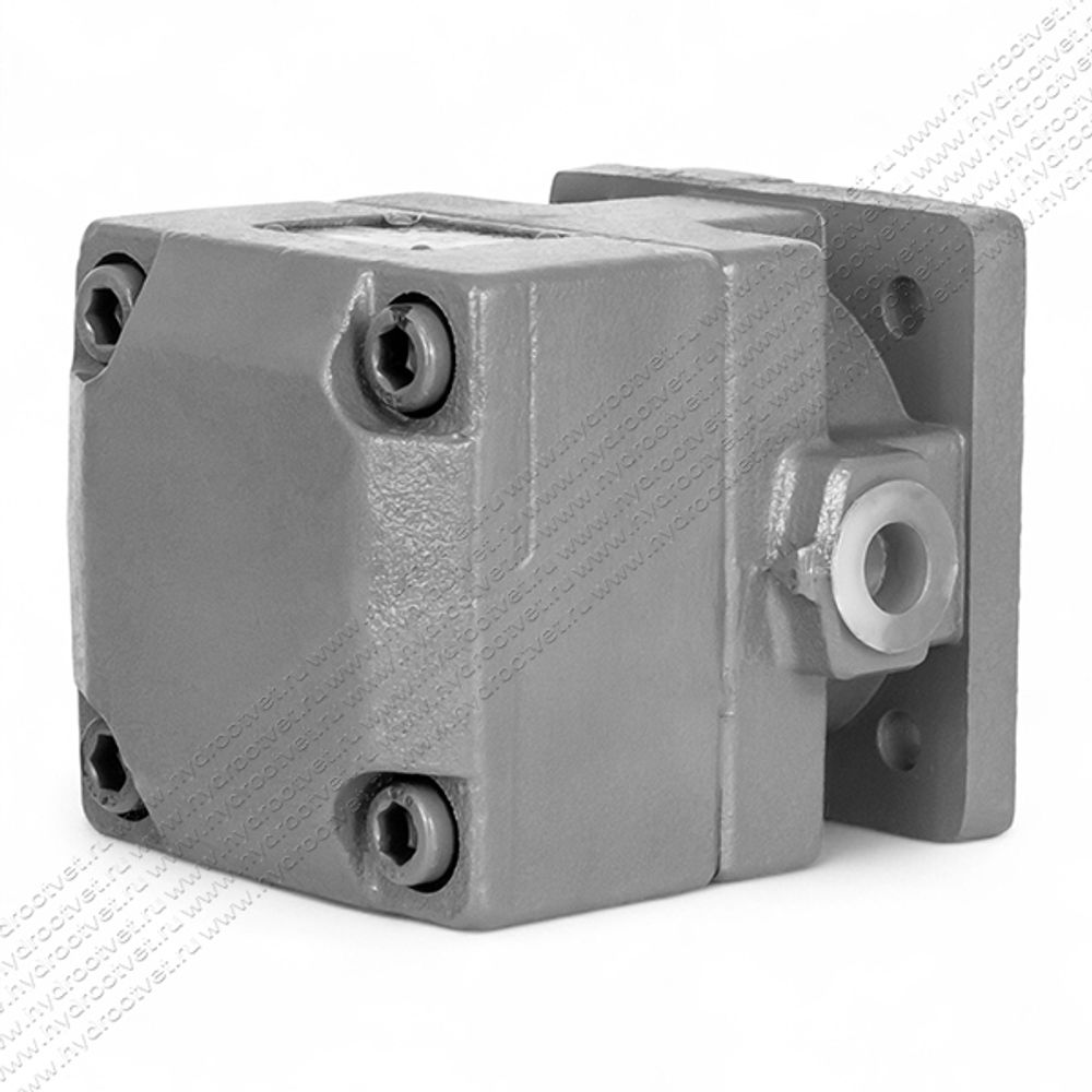 БГ12-41 - Пластинчатый нерегулируемый насос с рабочим объемом 10 см3, 100 бар (YB-D10U)