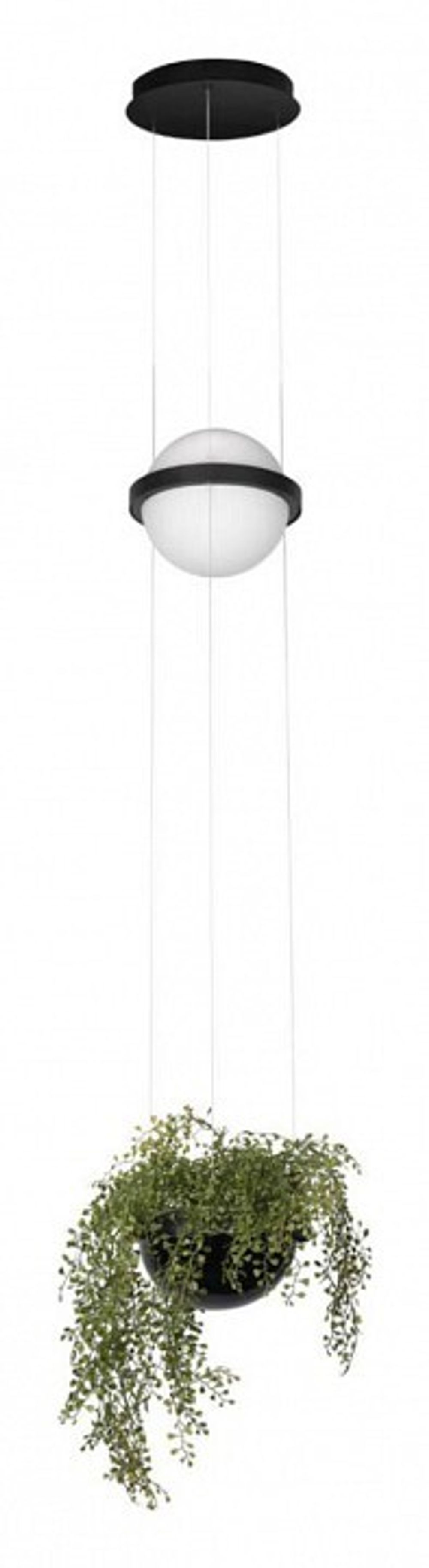 Подвесной светильник Loft it Jardin 10121/B