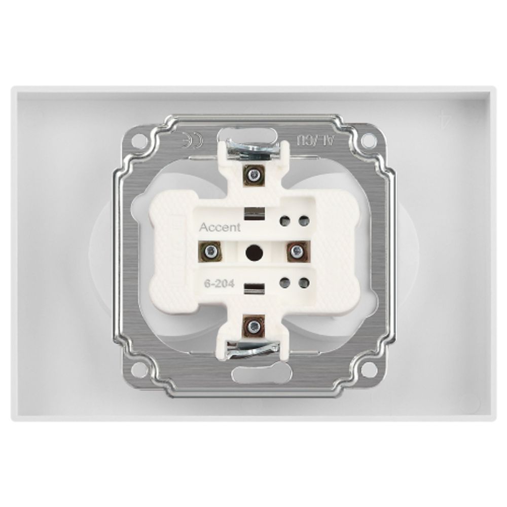 Розетка Intro Accent 6-204-06 двойная 2х2P 16А-250В IP20 СУ AL/CU перламутр