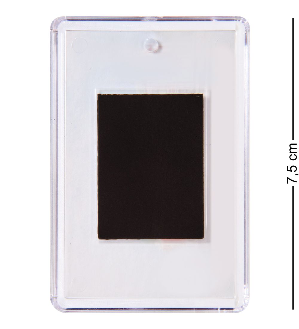 МТ- 001/18 Магнит «Новосибирский зоопарк»