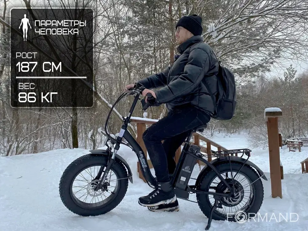 Электрофэтбайк Elbike Taiga 1 Vip 13 (Черный)