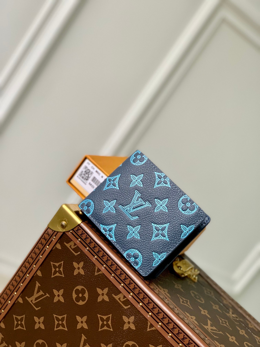 Louis Vuitton Multiple Wallet