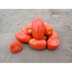 Классик F1 семена томата процессингового (Nunhems / Нюнемс)