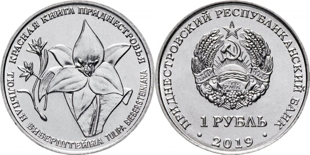 Приднестровье 1 рубль, 2019 Тюльпан Биберштейна