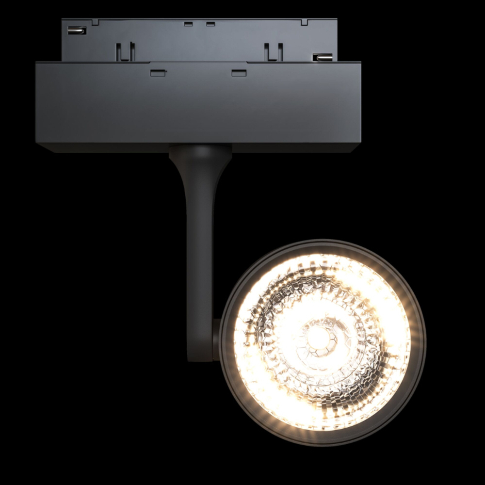 Трековый светильник Maytoni Technical TR024-2-10B3K