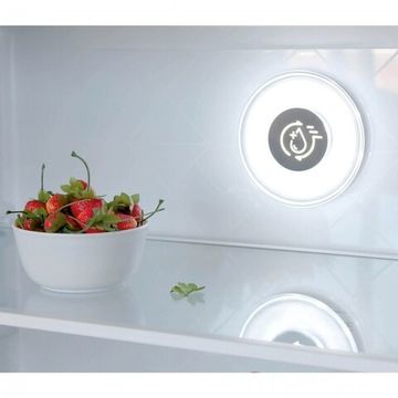 Холодильник Бирюса CD 466 BG