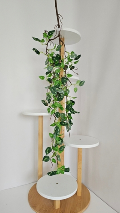 Эпипремнум на коричневом стебле / Арт 4236