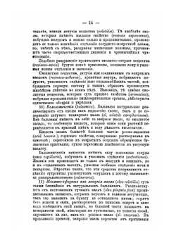 Целебные силы природы | Нет автора