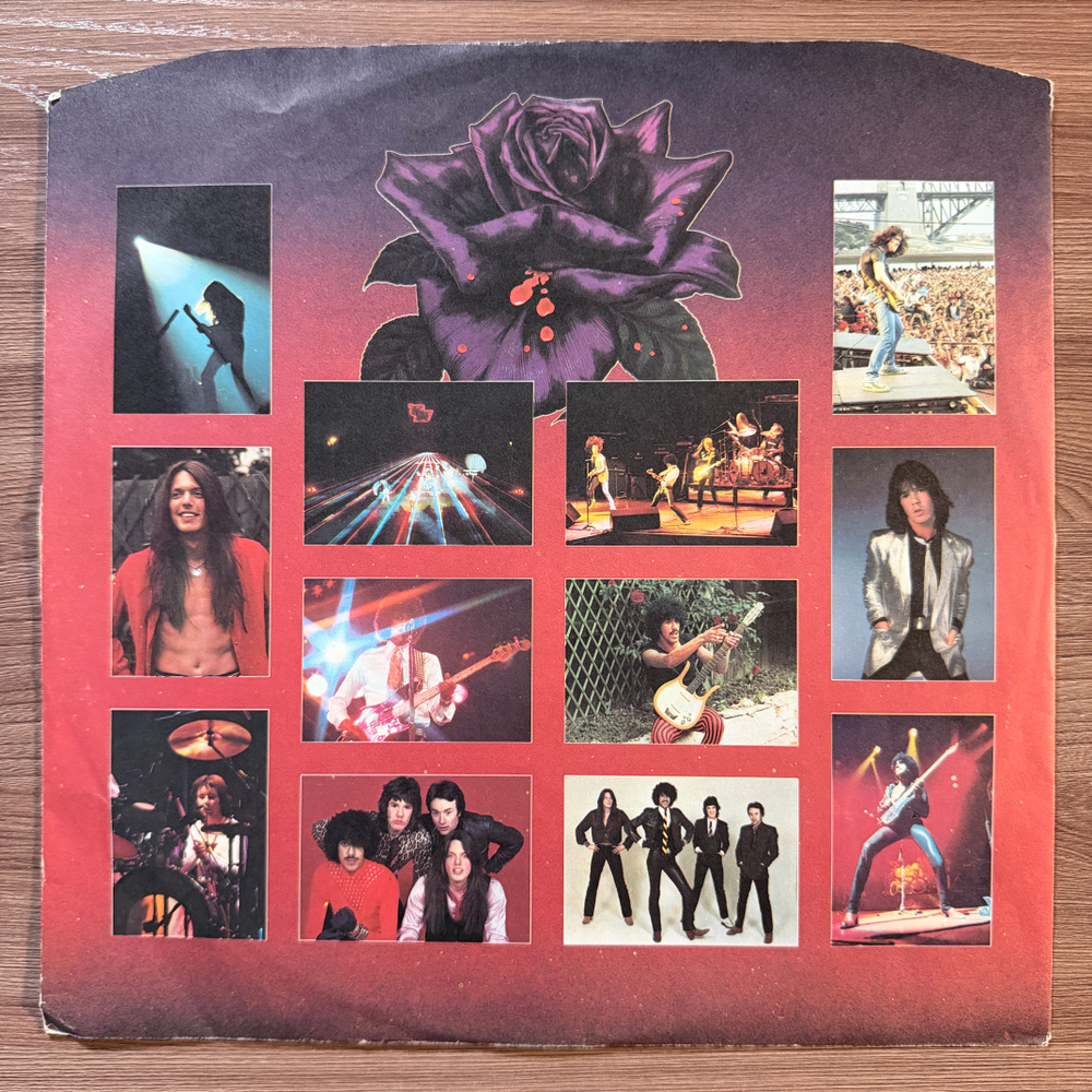 Thin Lizzy ‎– Black Rose (Скандинавия 1979г.)Т