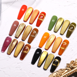 Гель-лак Born Pretty Gold Snowlight Magnetic Gel 6 мл