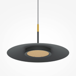 Подвесной светильник Maytoni MOD041PL-L15B3K1