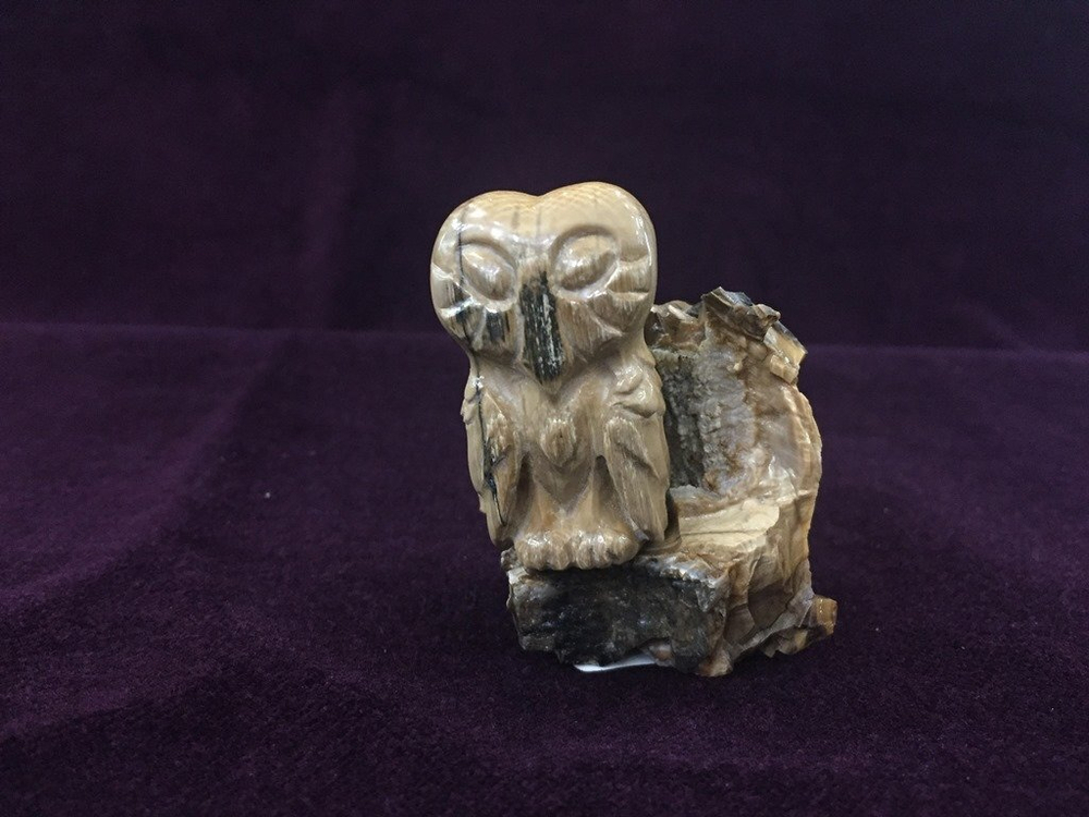 Сова
