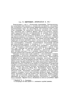 Деревья и кустарники СССР. Том 5 Миртовые, маслиновые | С.Я. Соколов