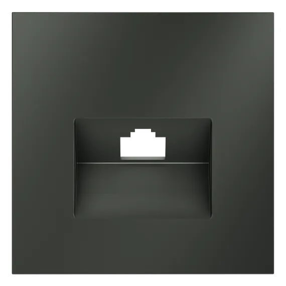 Накладка для розетки компьютерной RJ45 кат.6, S70 (титан)