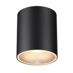 Накладной светодиодный светильник Odeon Light BRIM 7138/12CL