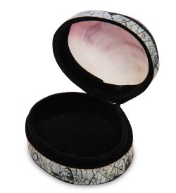 Decor and Gift 54-038 Декоративная шкатулка «Ракушка»