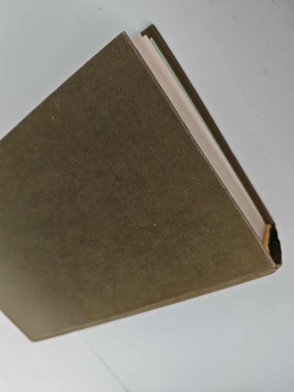 Зеркало человека